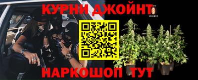 амф Жуковский