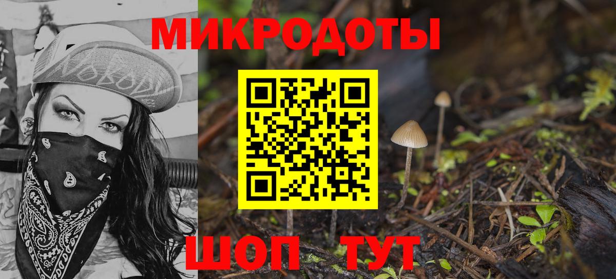 Псилоцибиновые грибы Psilocybine cubensis Людиново