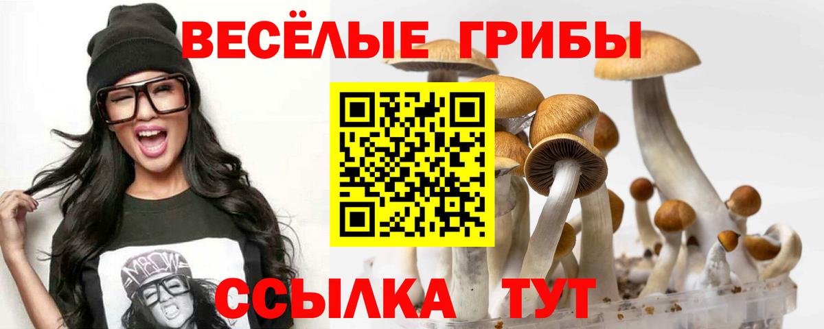Галлюциногенные грибы GOLDEN TEACHER  Вход с VPN  Людиново 